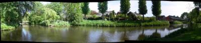 vanuit mijn tuin